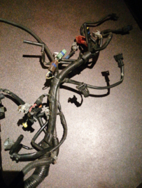 Harness egi K9K Nissan Almera N16 24011-BN700