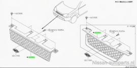 Grille Nissan X-Trail T30 62310-EQ400 Origineel.