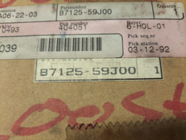 Defroster Nissan B7125-59J00 Original.