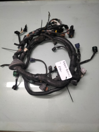 Wiring Harness Nissan Primera P12 24011-BA203 Used part.