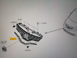 Sierstrip grille Nissan NV200 M20M 62382-BJ00B (62382-BJ00A)