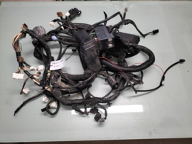 Kabelboom Motorruimte Nissan Primera P12 24012-BA222 Gebruikt.