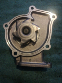 Waterpomp Nissan Sunny N13 / B12  21010-77AY0