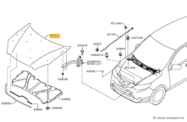 Hood Nissan Qashqai J11 F5100-4EAMA New.