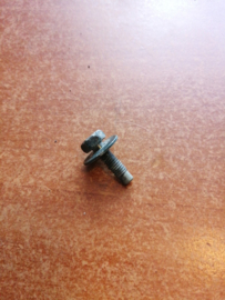 Bolt M5.75 x 21 hinge back door Nissan 08368-6162H Used part.