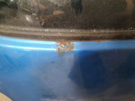 Achterklep Nissan Micra K11 90100-73B34 BV4 Gebruikt.