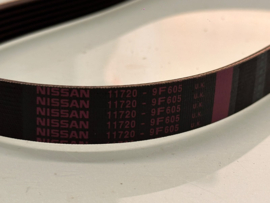 Multiriem QG15DE/ QG16DE/ QG18DE Nissan 11720-9F605 N16/ P11/ WP11/ P12/ V10 Origineel.