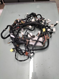 Hoofdkabelboom interieur Nissan Primera P12 24010-BA215 Gebruikt.