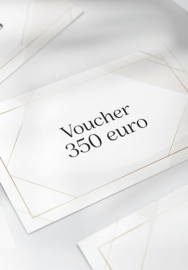 Tegoedbon 350 euro