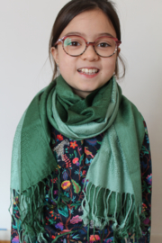 Mooie tweekleurige groene cashmere sjaal