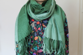 Mooie tweekleurige groene cashmere sjaal