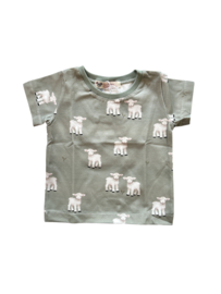 T-shirts/Tunieken