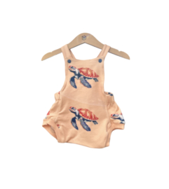 Summerromper Turtle