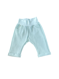 Broek Zeegroen