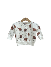Lounge Sweater Brown Bear