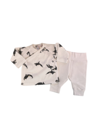 Newborn Set Orka