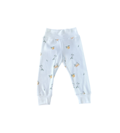 Broek Rib Appelsien