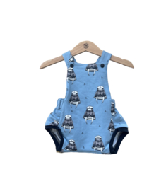 Summerromper Walrus