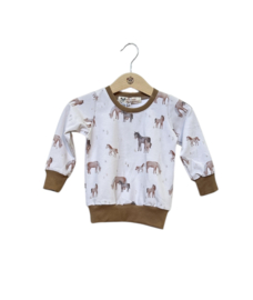 Sweater Horse Family