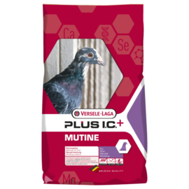 Versele laga Mutine plus i.c.+ rui 20 kg