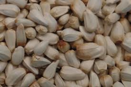 Saffloor Pitten 1 kg.