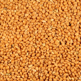 Gele millet 2kg.