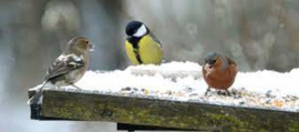 Strooivoer Mix voor de kleine vogels 1kg