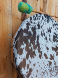 "Karysha" (Appaloosa Paard)