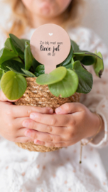 PLANTENPRIKKER LICHTROZE | Zo blij met een lieve juf als jij!