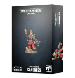 Warhammer 40,000 - Adepta sororitas canoness