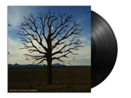 Biffy Clyro - Opposites (2-LP)