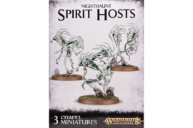 Warhammer Age of Sigmar Nighthaunt Spirit Hosts (93-08)