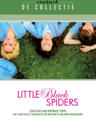 Little black spiders