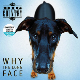Big country - Why the long face (Limited edition Turquoise vinyl)