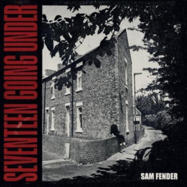Sam Fender - Seventeen going under (LP)