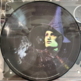 Wicked - Original Broadway Cast recording (Picture disc 2-LP)