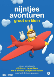 Nijntjes avonturen groot en klein