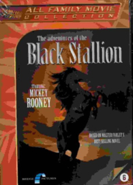 Adventures of the Black stallion