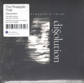 Pineapple thief - Dissolution