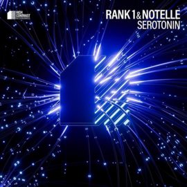 Rank 1 - Serotonin (10" Vinyl)