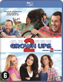 Grown ups 2 (Blu-ray)