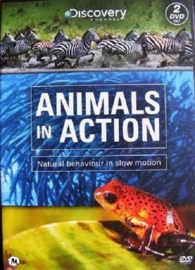 Animals in action (Discovery) 2-DVD