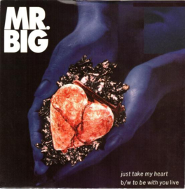 Mr. Big - Just take my heart