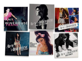 Amy Winehouse - The collection (5-CD)