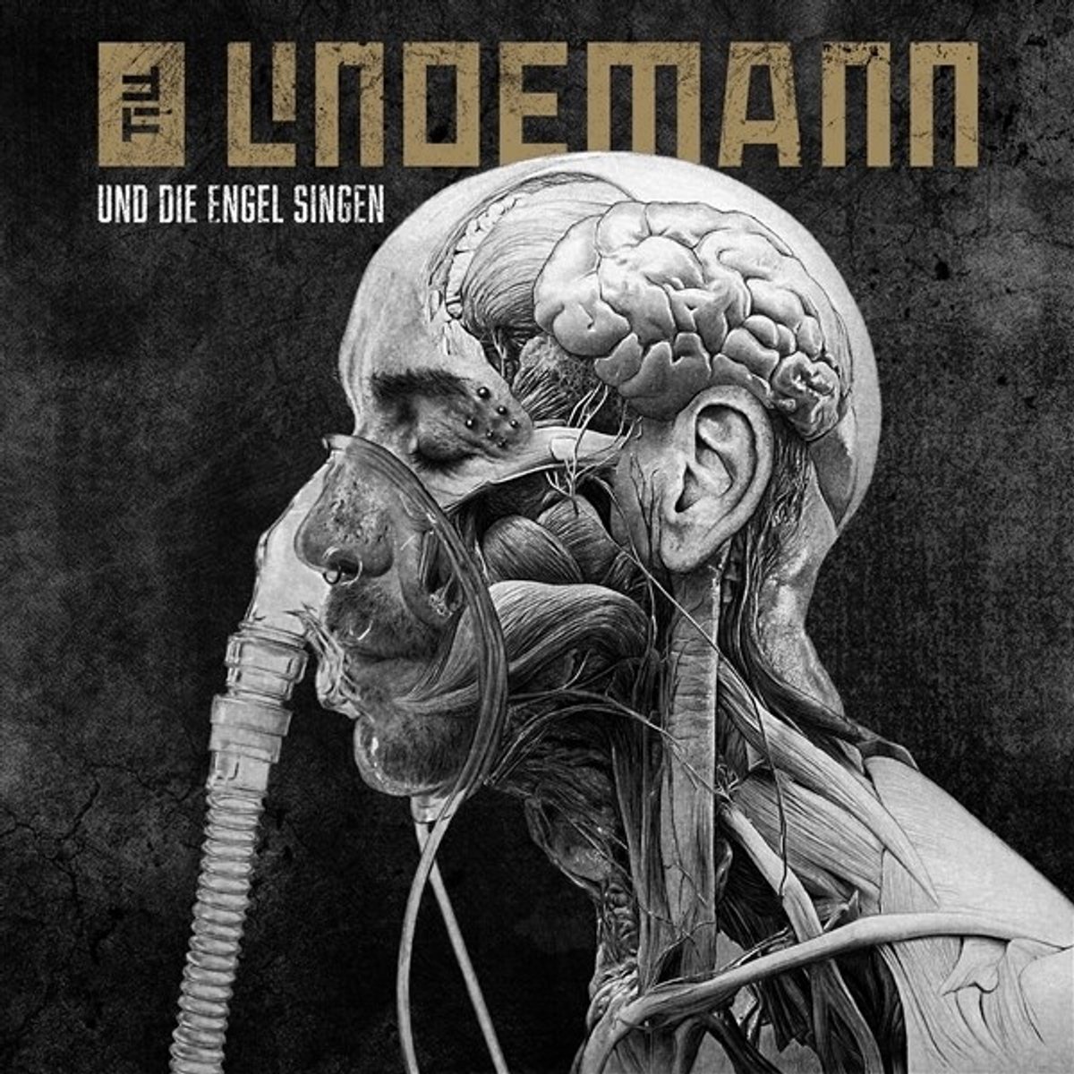 Till Lindemann - Und die engel singen (7")