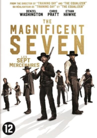 Magnificent seven (DVD)