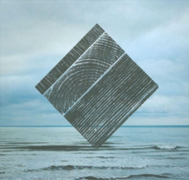 Fink - Perfect darkness (CD)