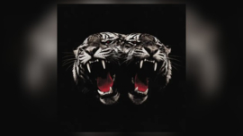 Royal Blood - Dead company (Limited edition Red Vinyl)