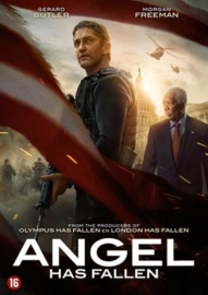 Angel has fallen (DVD)