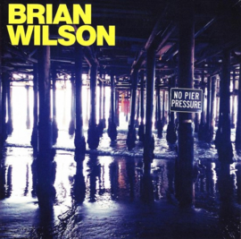 Brian Wilson - No pier pressure (CD)